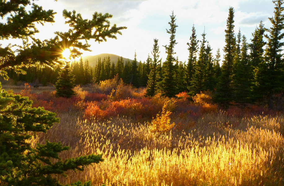 Meadow Sunset with autumn colors