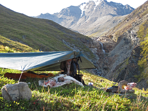 Sheep Hunting Bivy Camp