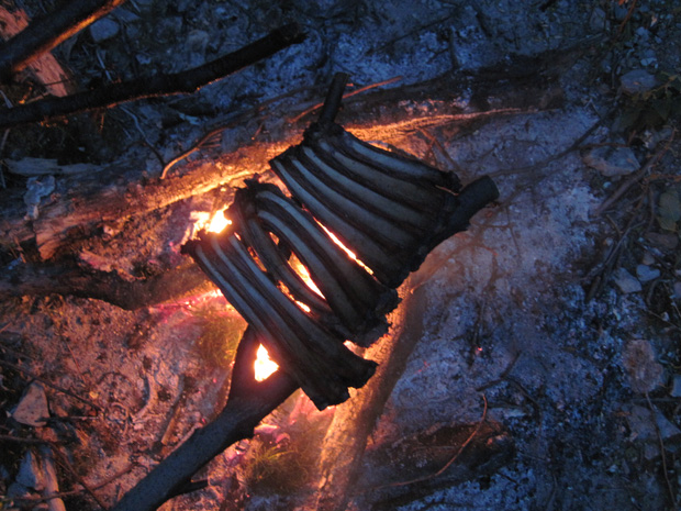 Sheep ribs cooking over a campfire