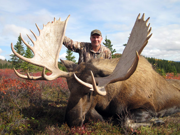 Alaska-Moose-Hunti