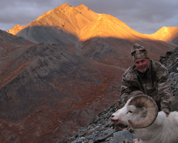 Dall-Sheep-Harvest