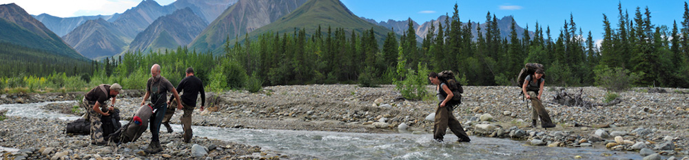 Creek Crossing Panoramic Image