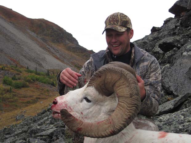 5-dall-sheep-harvest