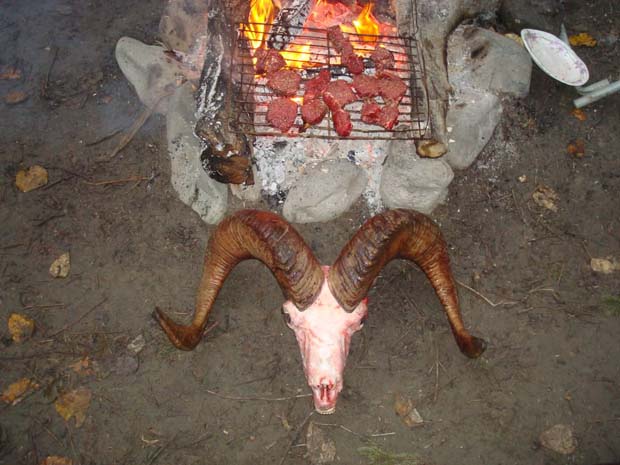 grilled-dall-sheep