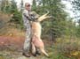 alaska-wolf-hunting