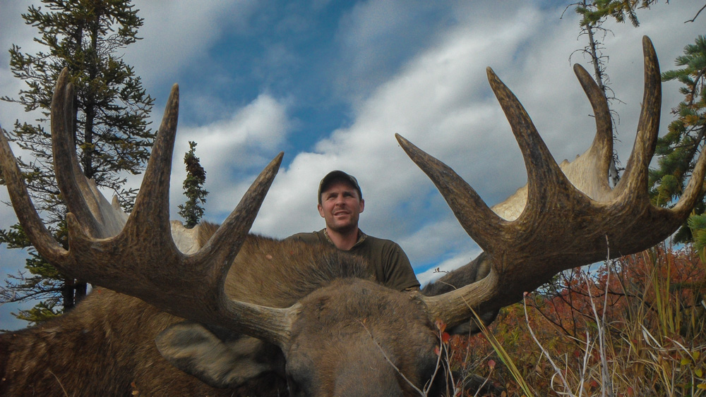 Moose Brow Tines