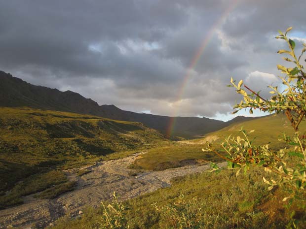 2-shepp-hunt-rainbow