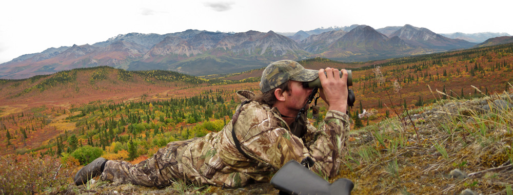 Panoramic of moose hunter glassing 