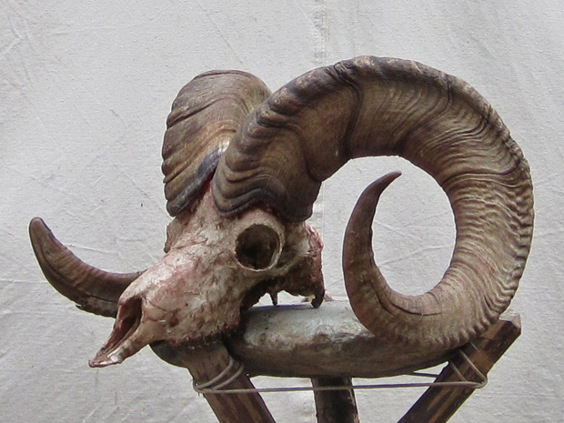 01_ram_horns