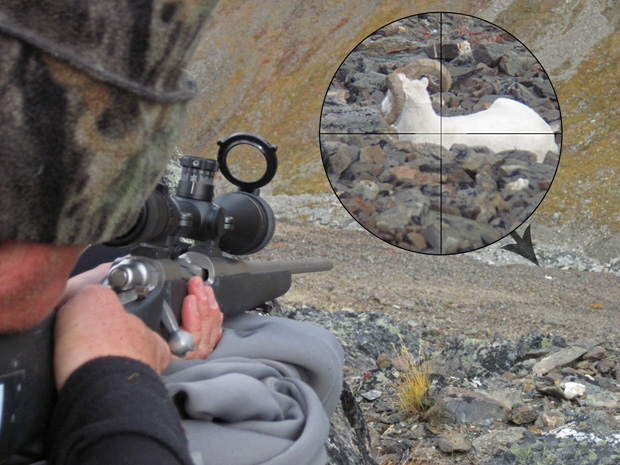 07_ram_in_crosshairs