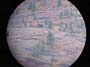 03_stalk_in_scope