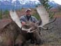 04_harvested_bull