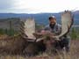 05_moose_antlers