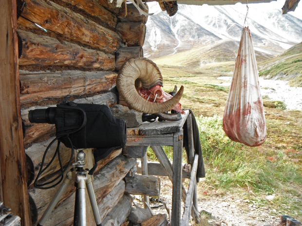 07_sheep_hunting_cabin