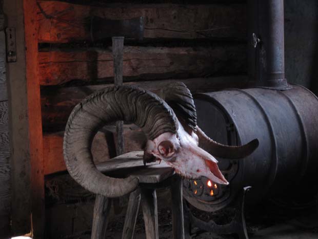 05-sheep-horns-in-cabin