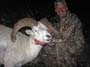 08-Todd-w-alaska-dall-sheep