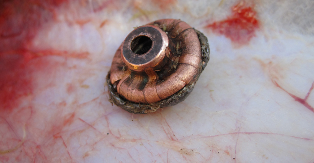 Recovered Nosler Bullet