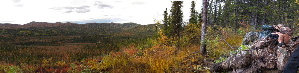 Glassing for moose