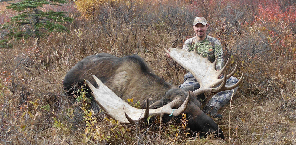 Moose Trophy Picture