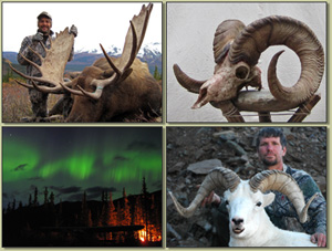 Pictures of guided alaska hunting