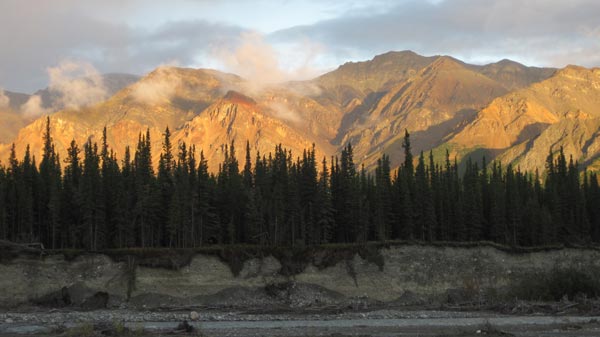 Alaskan Hunts