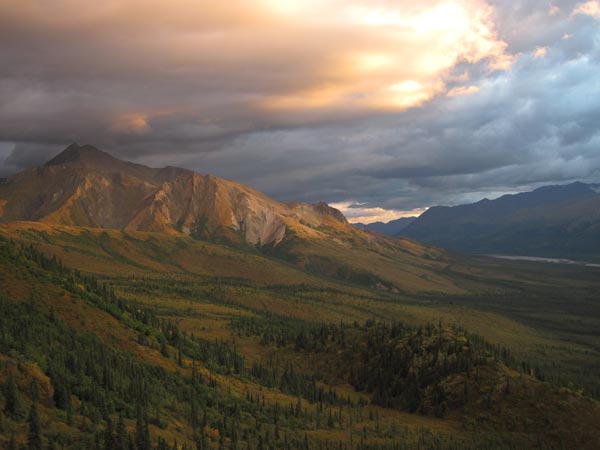 Alaska hunting area with mountains and moose meadows