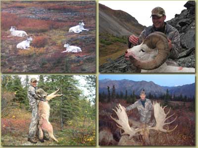 Cory Smith's Alaskan Sheep and Moose Hunt