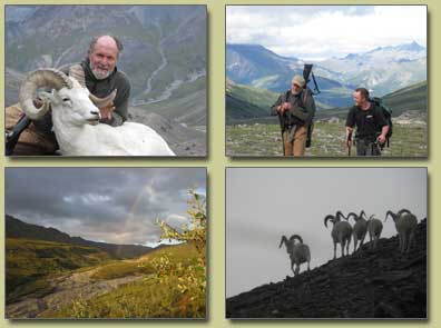 Sheep hunting in Alaska, Joel Thone's Guided Hunt