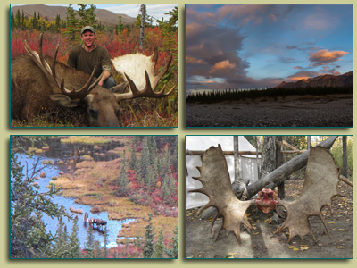 2014 guided Moose Hunting with client, Andrew Harvey