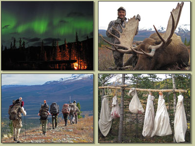 Alaska Moose Hunting Pictures